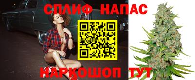 гидра Обь